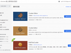 chrome谷歌浏览器 cookies饼干导入小号浏览器教程